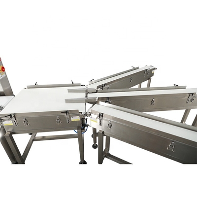 Food Weighing Scale Classifier Automatic Weighing Machine