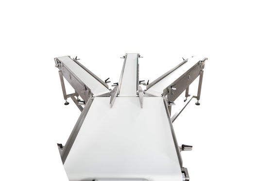 Professional Automatic Check Weigher Machine Weighing Filling Machine